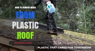 Effective Methods to Remove Moss from Plastic Roofs Safely