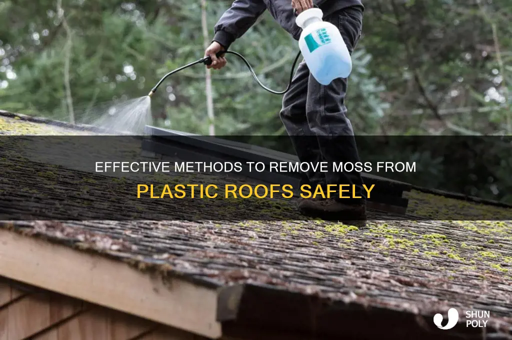 how to remove moss from plastic roof
