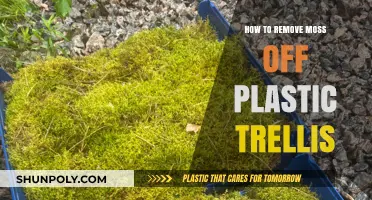 Effective Ways to Clean Moss Off Your Plastic Trellis Easily