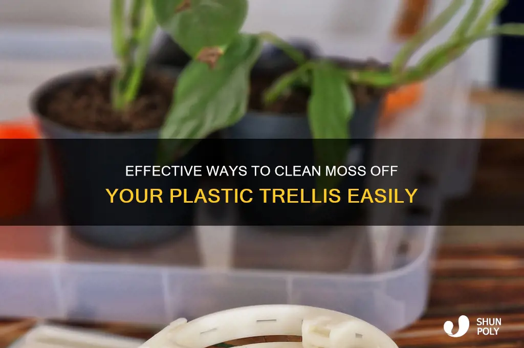 how to remove moss off plastic trellis