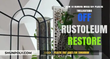 Effective Moss Removal Tips for Plastic Trellises and Rustoleum Restore Stains