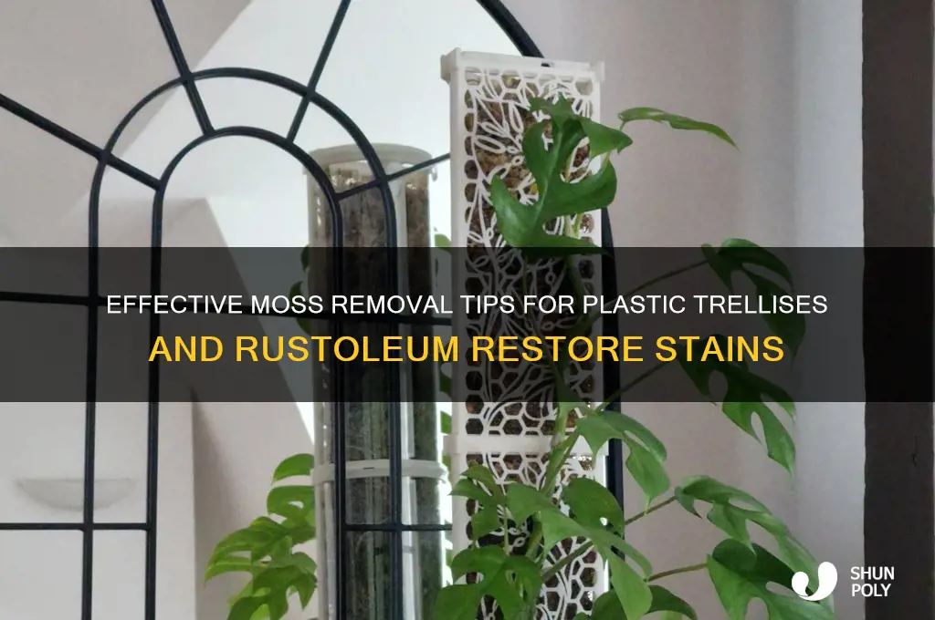 how to remove moss off plastic trellisstains off rustoleum restore