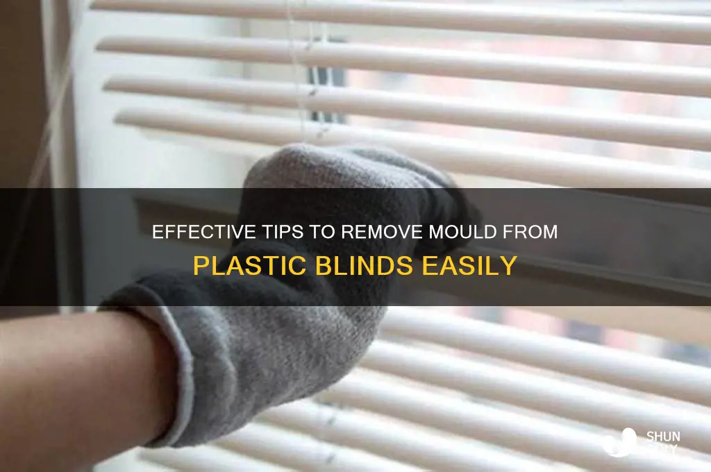 how to remove mould from plastic blinds