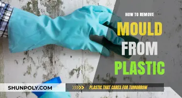 Effective Ways to Remove Mould from Plastic Surfaces Easily