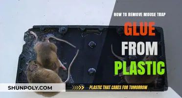 Effective Ways to Remove Mouse Trap Glue from Plastic Surfaces