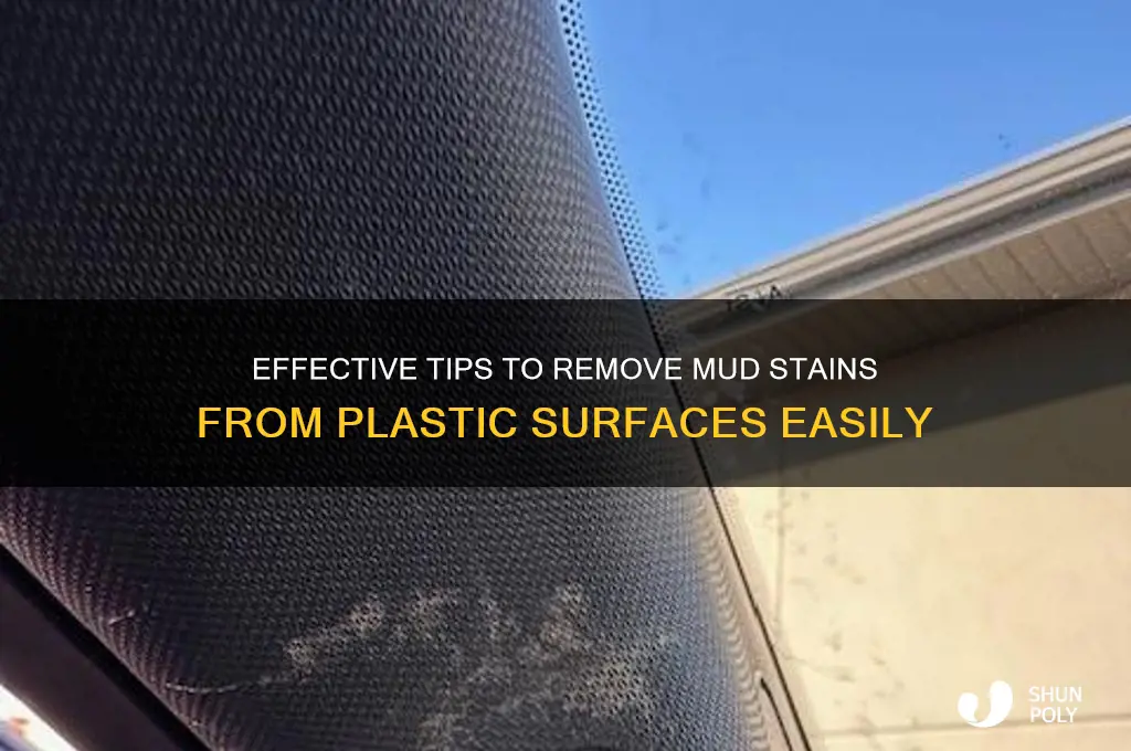 how to remove mud stains from plastic