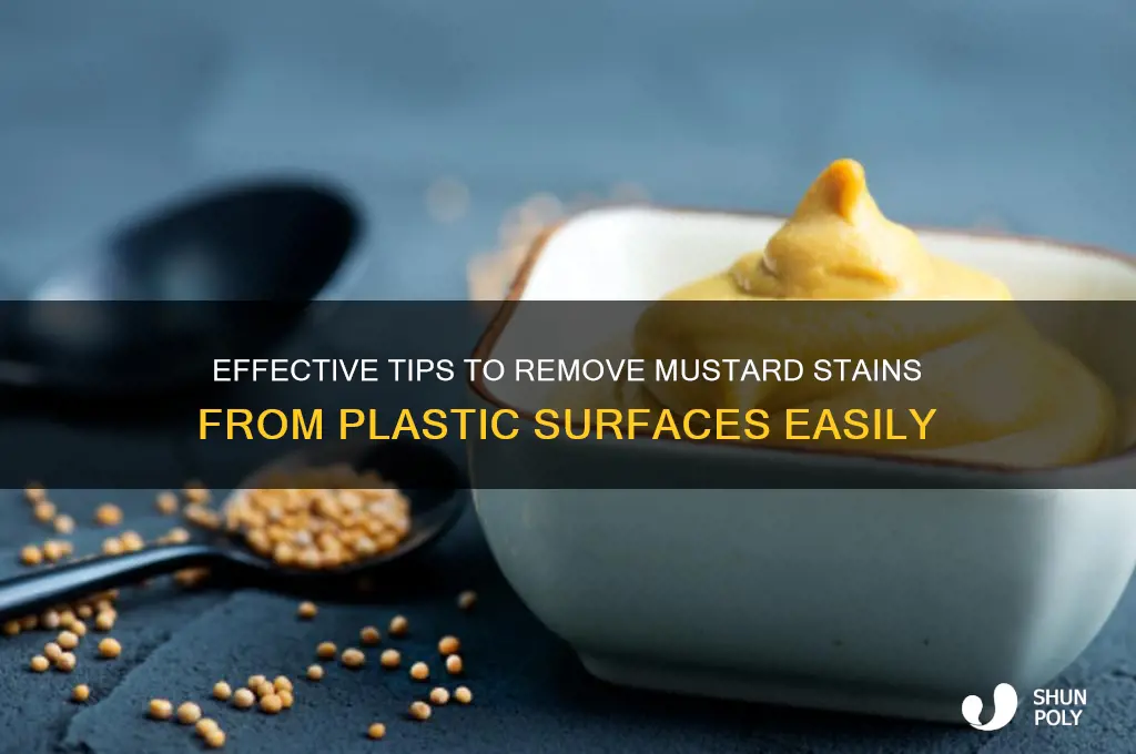 how to remove mustard stains from plastic