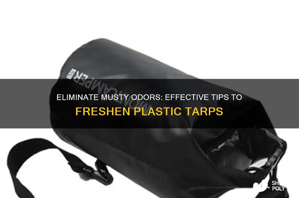 how to remove musty smell from a plastic tarp