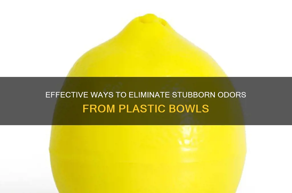 how to remove odor from plastic bowl