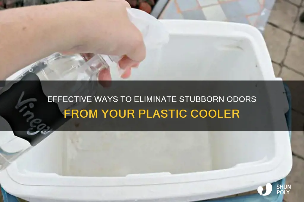 how to remove odor from plastic cooler