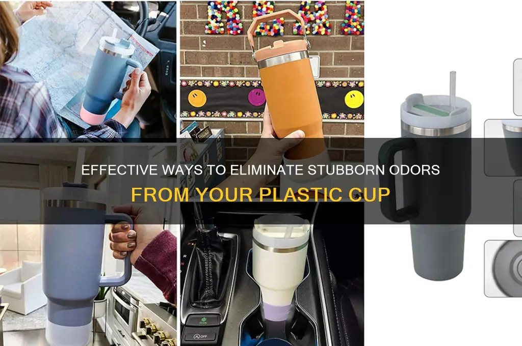 how to remove odor from plastic cup