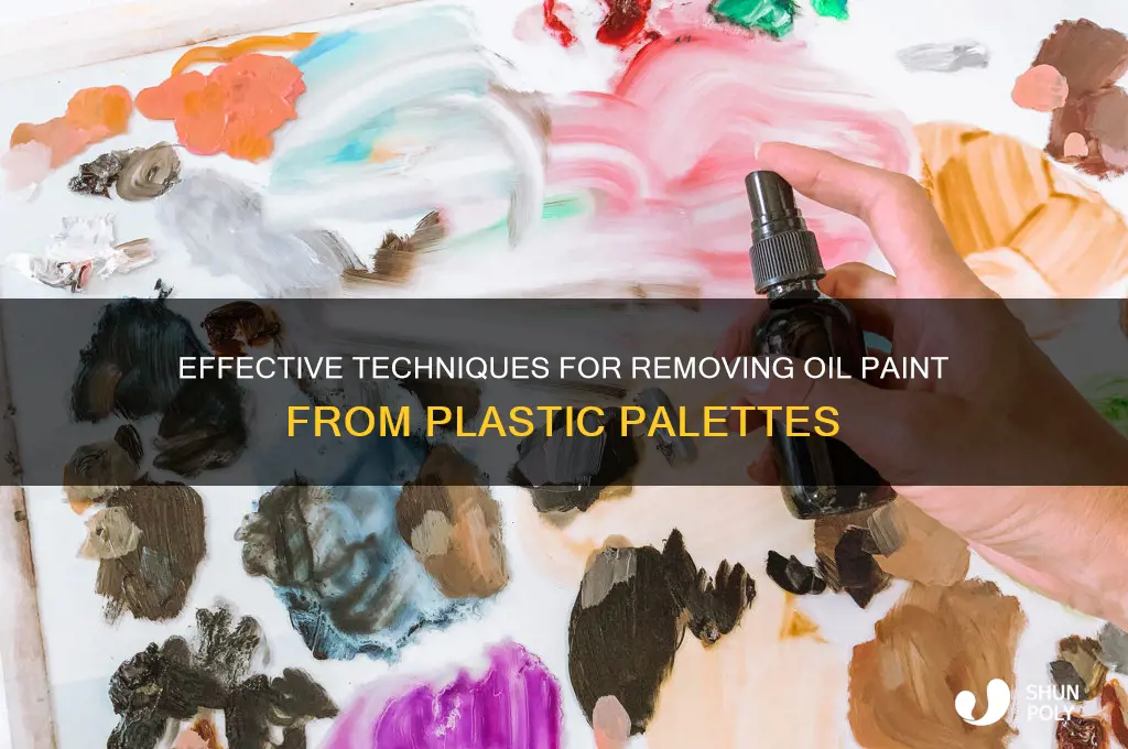 how to remove oil paint from plastic palette
