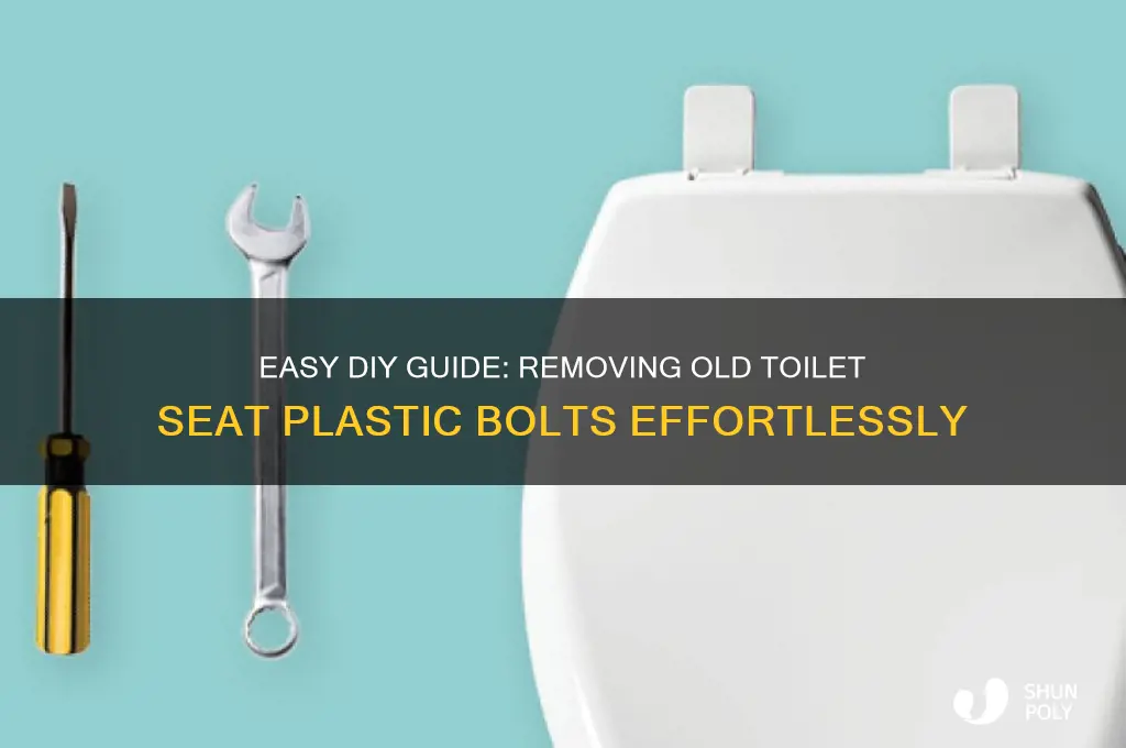 how to remove old toilet seat plastic bolts