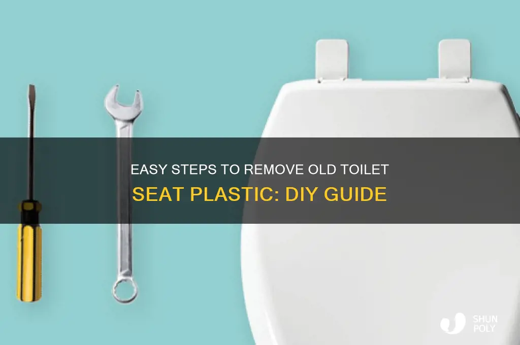 how to remove old toilet seat plastic