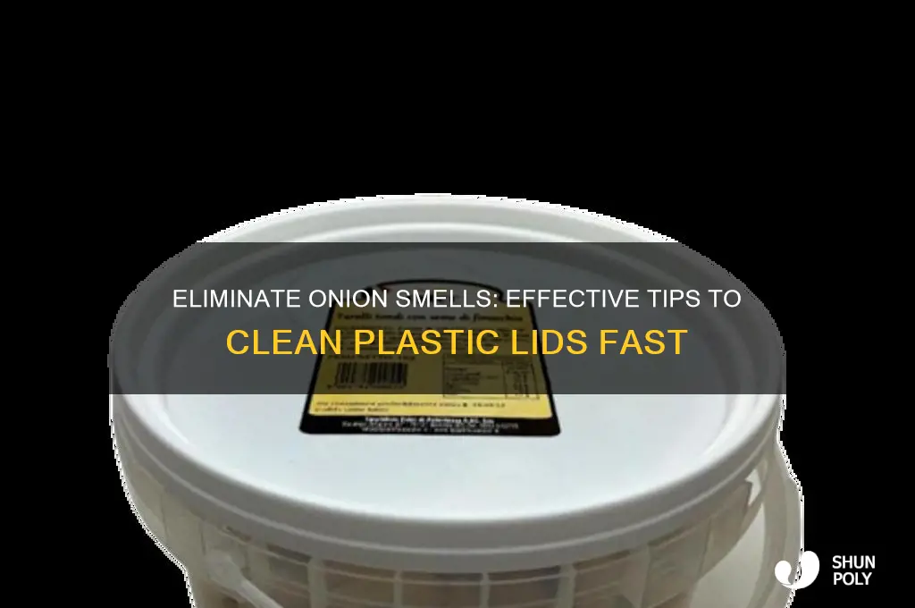 how to remove onion oders from plastic lid