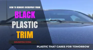 Effective Overspray Removal Techniques for Black Plastic Trim Restoration