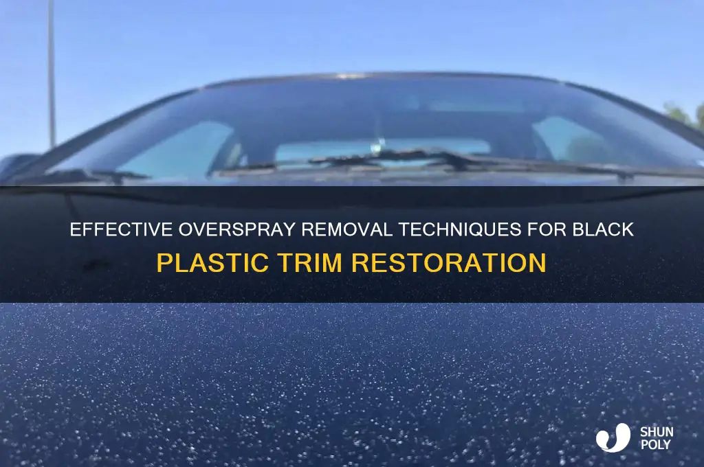 how to remove overspray from black plastic trim