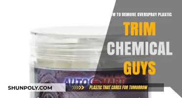 Effective Overspray Removal: Chemical Guys Guide for Plastic Trim Restoration