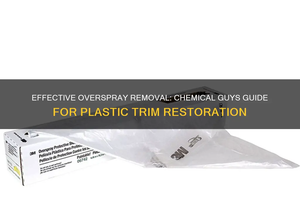 how to remove overspray plastic trim chemical guys