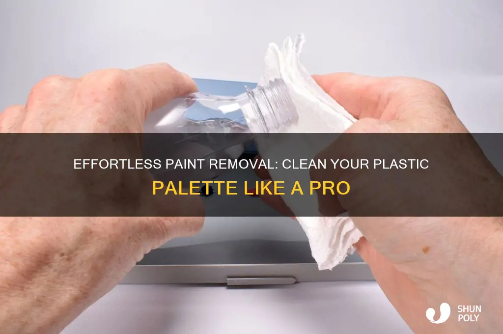 how to remove paint from plastic palette