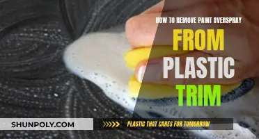 Removing Paint Overspray: Restore Plastic Trim's Original Look