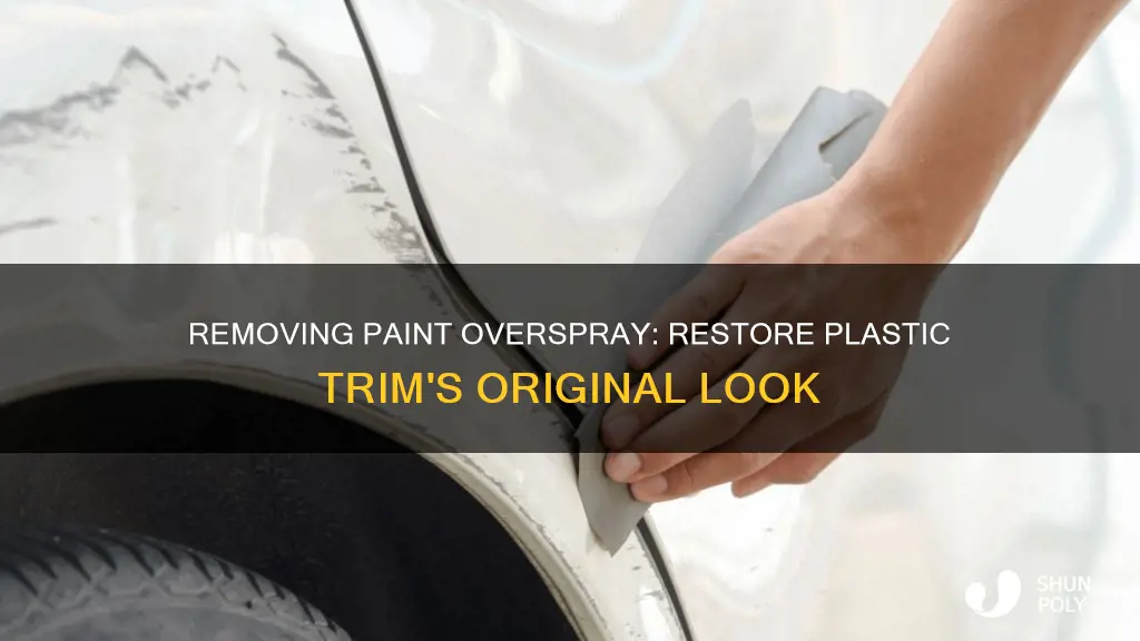 how to remove paint overspray from plastic trim