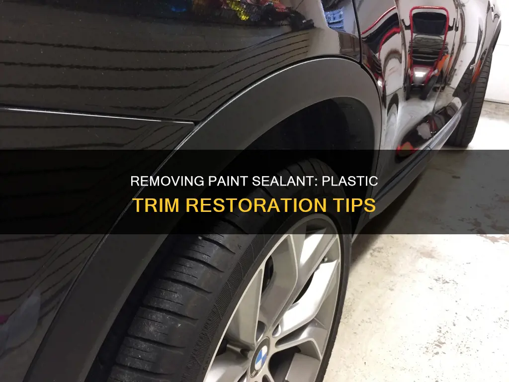 how to remove paint sealant from plastic trim