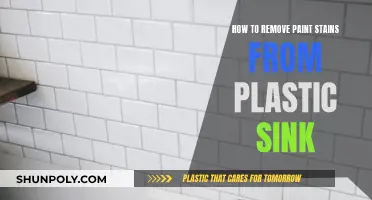 Removing Paint Stains from a Plastic Sink: Effective Methods