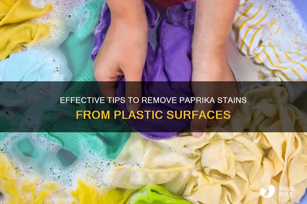 how to remove paprika stains from plastic