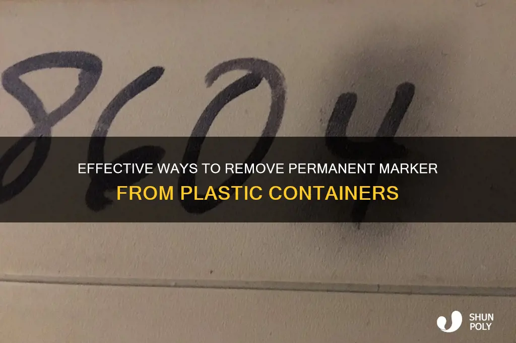 how to remove permanent marker from plastic container