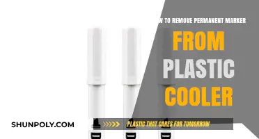 Effective Ways to Remove Permanent Marker from Plastic Coolers