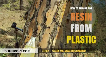 Effective Methods to Remove Pine Resin from Plastic Surfaces