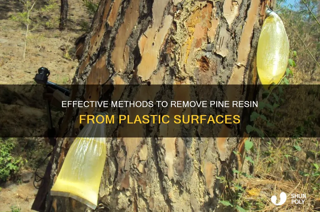 how to remove pine resin from plastic