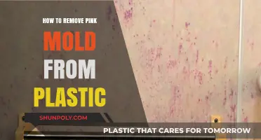 Effective Ways to Eliminate Pink Mold from Plastic Surfaces