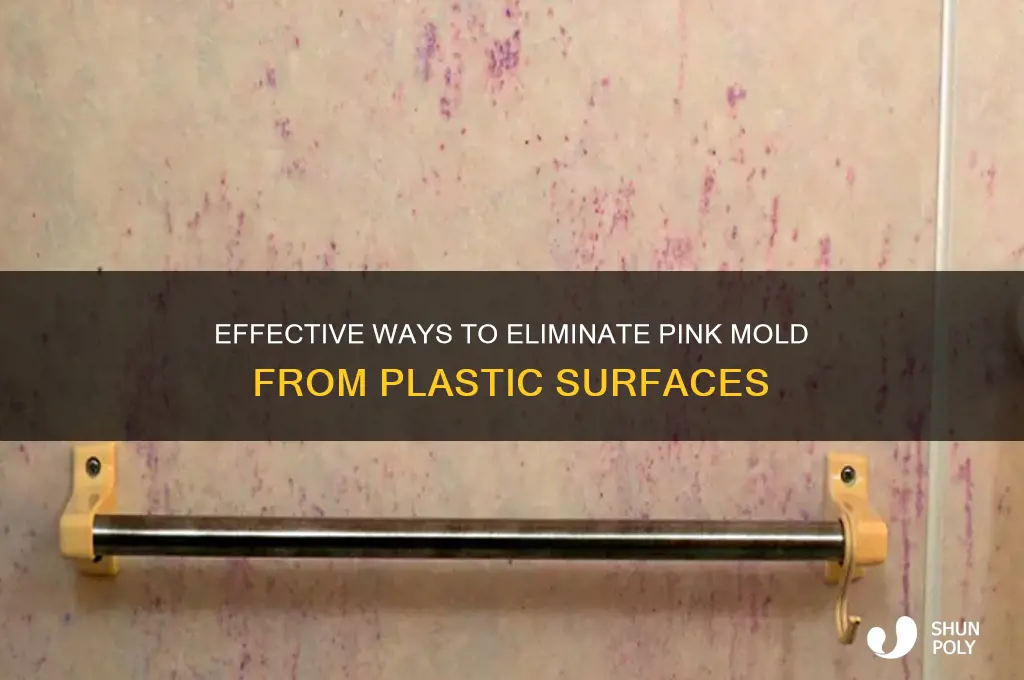 how to remove pink mold from plastic