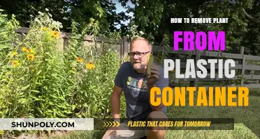 Easy Steps to Safely Remove Plants from Plastic Containers
