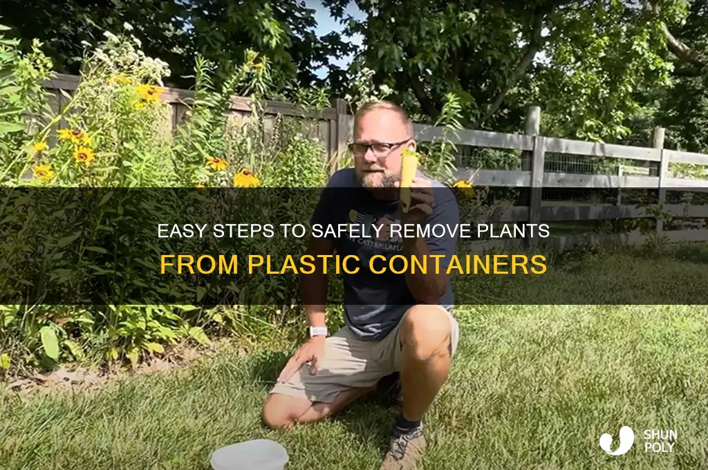 how to remove plant from plastic container