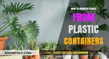 Unpotting Plants: Removing Them From Plastic Containers