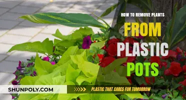 Easy Steps to Safely Remove Plants from Plastic Pots