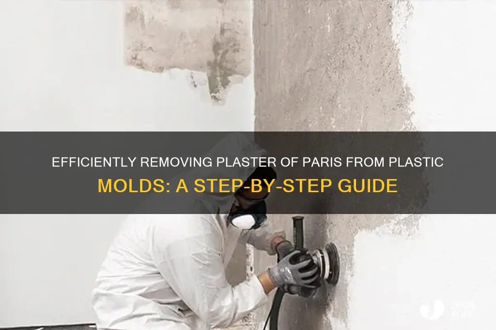 how to remove plaster of paris from a plastic mold