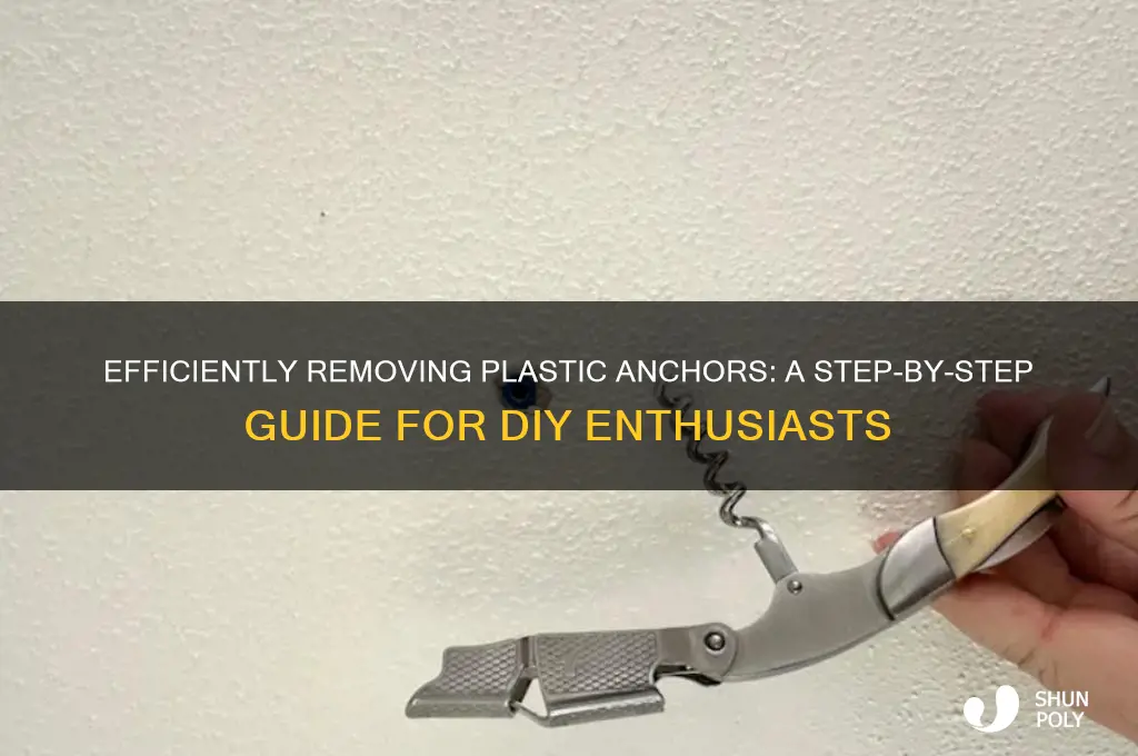 how to remove plastic anchor
