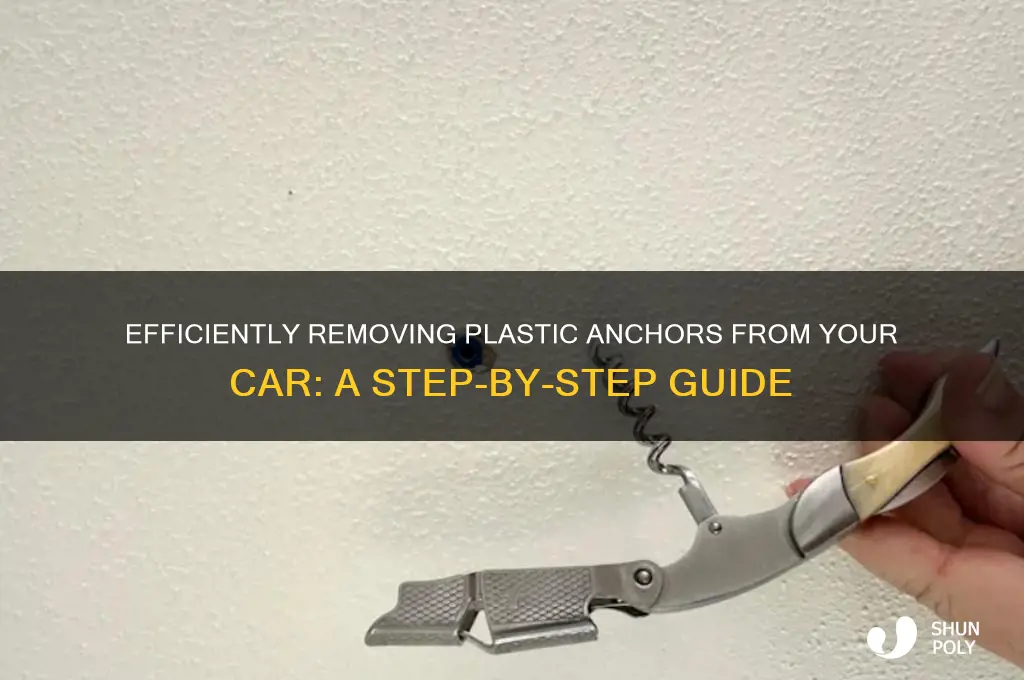 how to remove plastic anchors from car