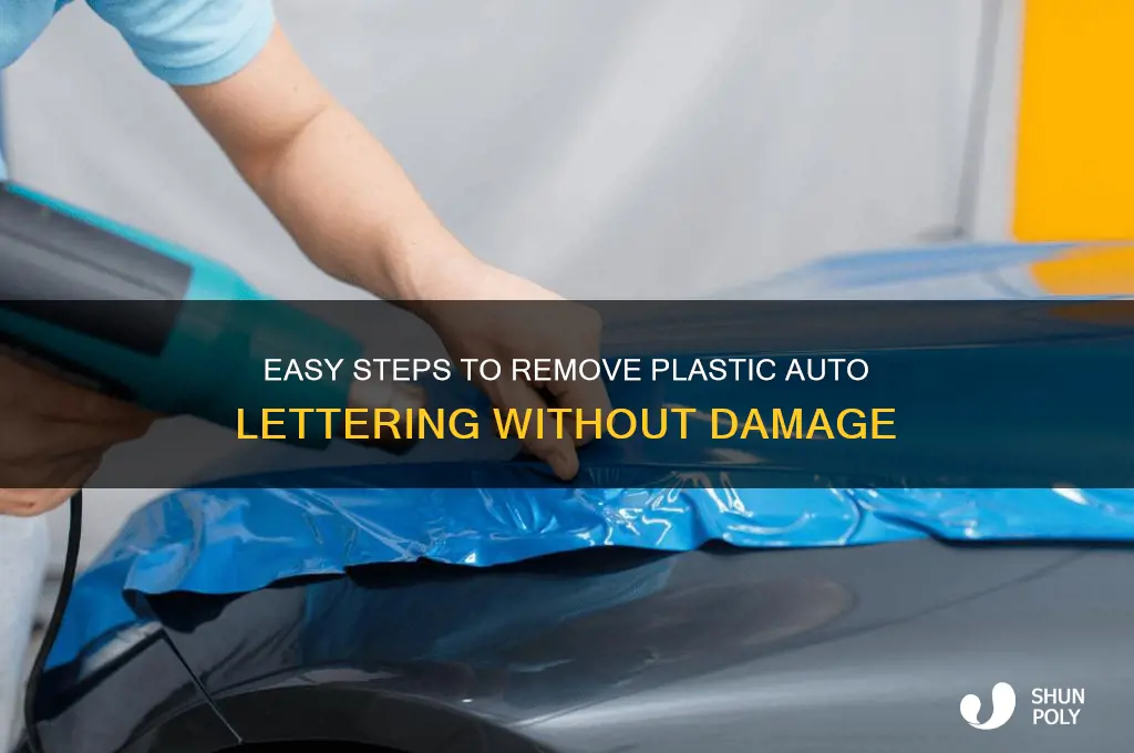 how to remove plastic auto lettering