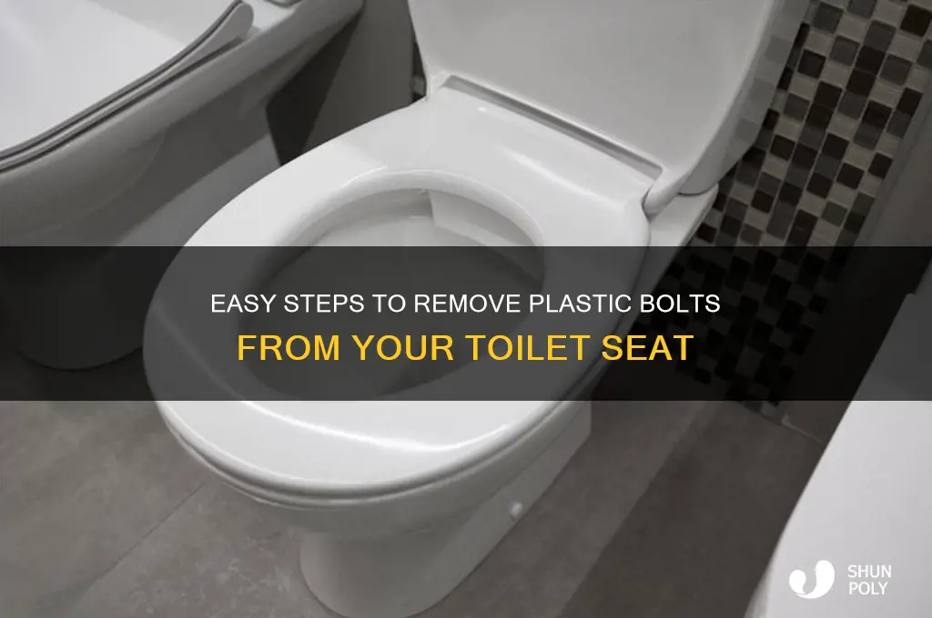 how to remove plastic bolt from toilet seat