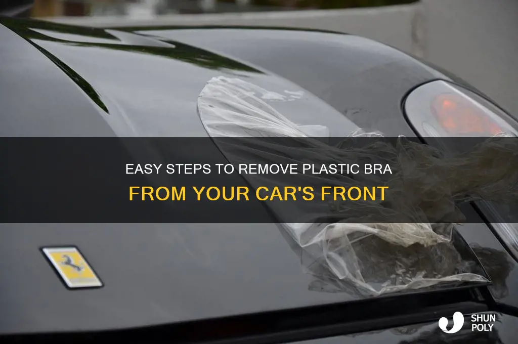 how to remove plastic bra from front of car
