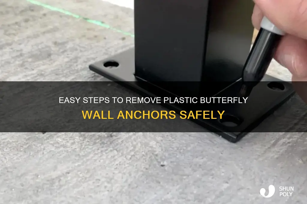 how to remove plastic butterfly wall anchors