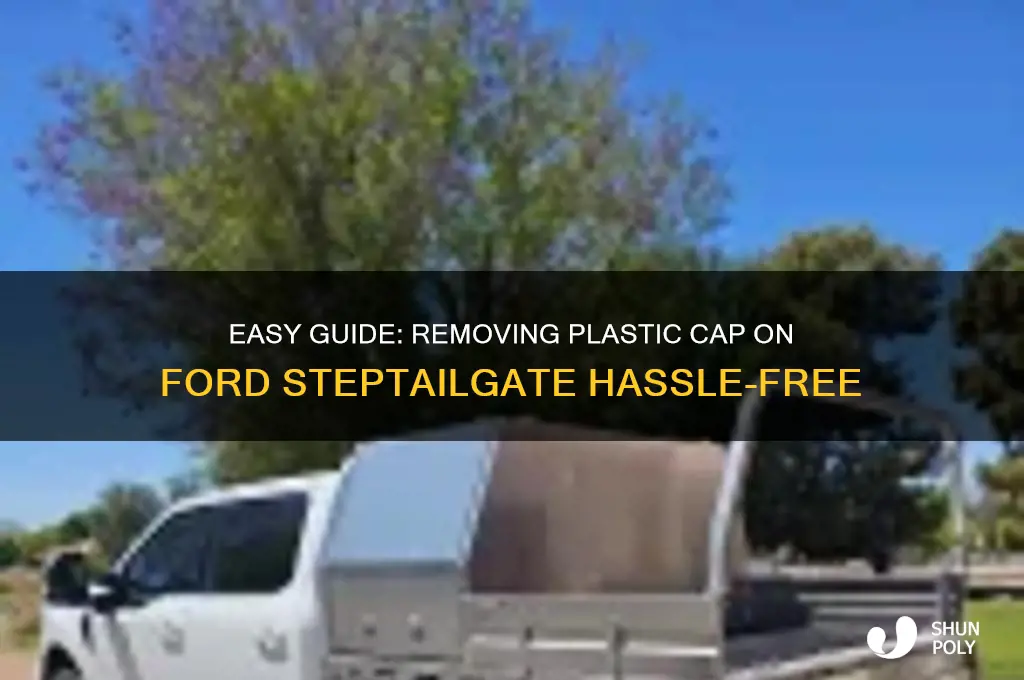 how to remove plastic cap on ford steptailgate