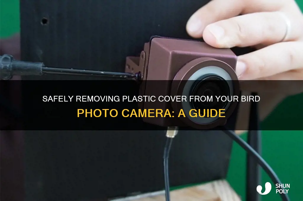 how to remove plastic cover from bird photo camera