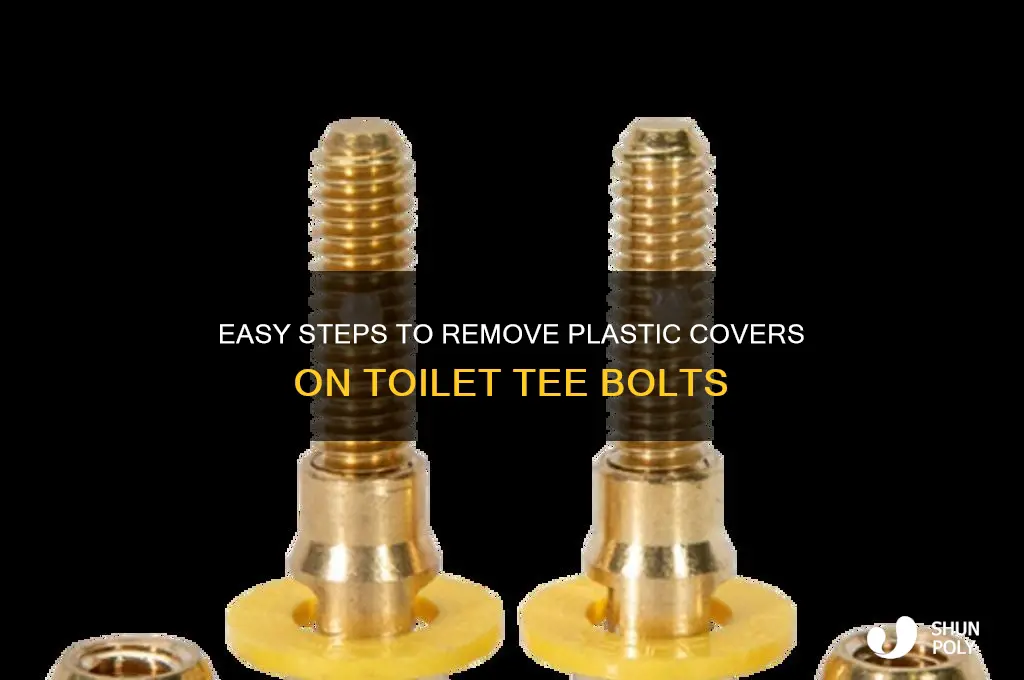 how to remove plastic cover on toilet tee bolts
