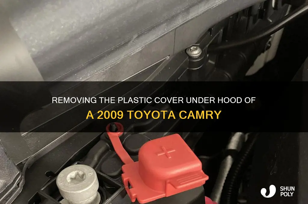 how to remove plastic cover under hood 2009 toyota camry